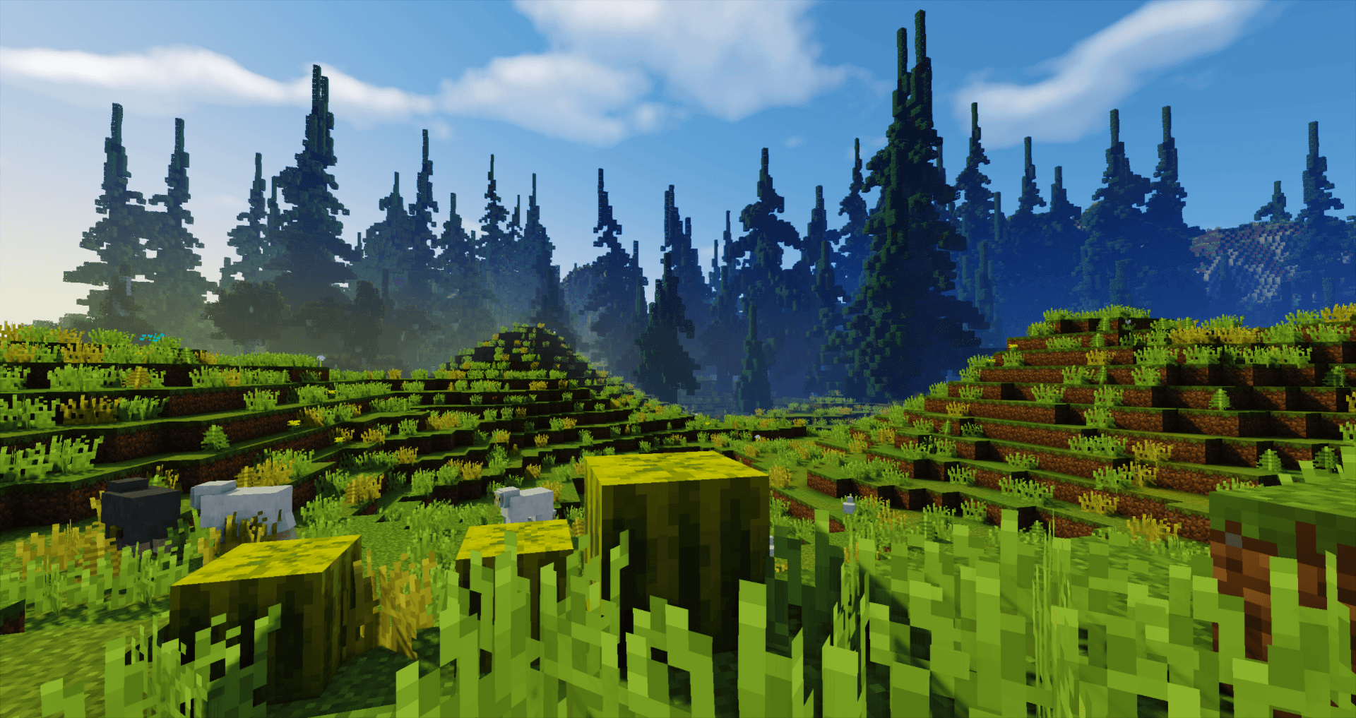 38c01a0d5af6d9a59de00d842183d94a30b468a0 (1).png