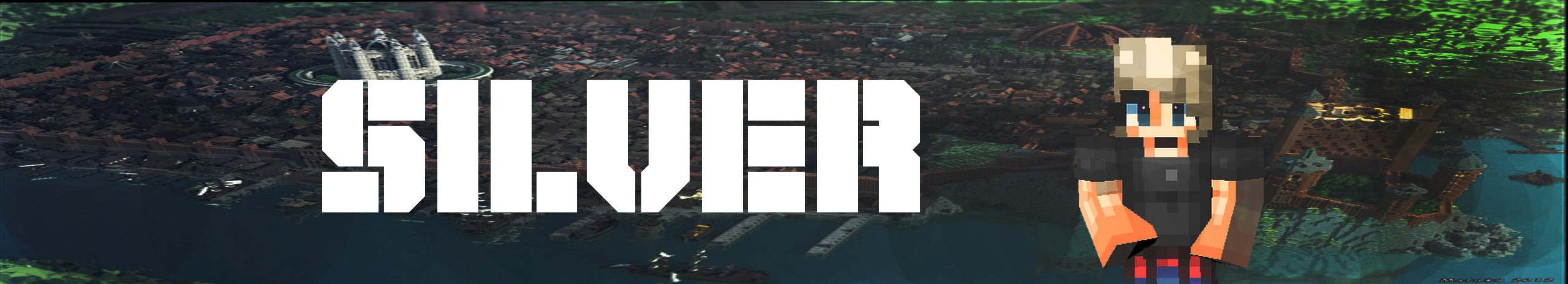 banner sil fin.png