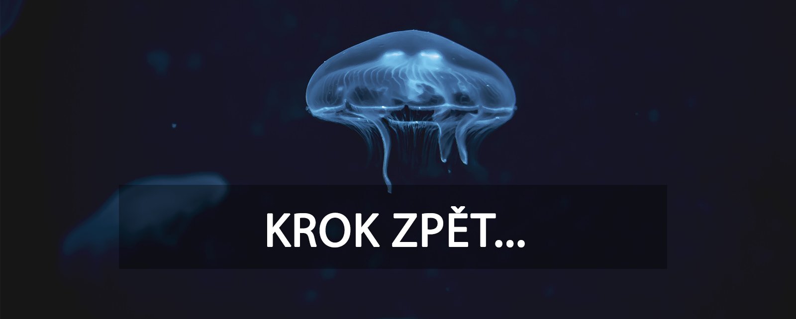 krok_zpet.png