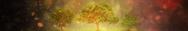 trees_ablaze_signature__600x100__by_joshuawickett-d67symf.png