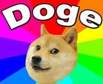 doge 2.jpg