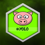 yolo.jpg