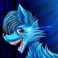 blueFoxzk