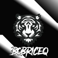 BobriceQ