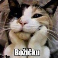 FerryCZE