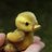 _daBIGducK