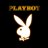 playboy